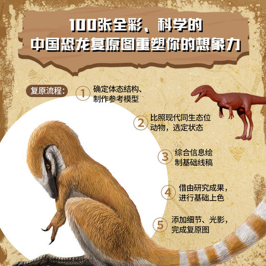 中国恐龙博物馆 商品图3