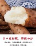 细山药 商品缩略图2