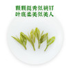 2025新茶·龙冠龙井【清香典范】便携装 20g 商品缩略图2