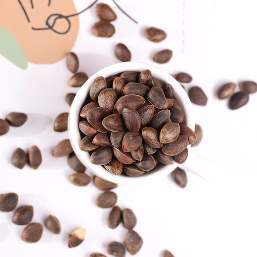 云南高原新鲜落水松   人工采摘  自然晾晒 松香味浓郁 松仁圆润饱满  纯天然自然美味 商品图5