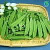 荷兰豆 商品缩略图2