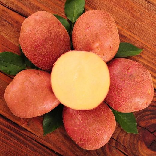 红土豆 商品图1