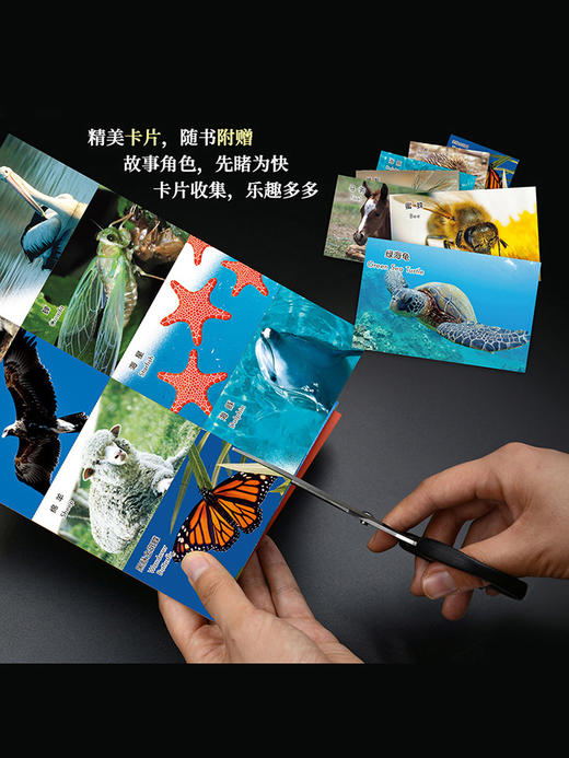 外研社双语故事屋系列《动物成长故事》盒装（全10辑） 商品图6