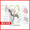 （套装共2本）诊断学+诊断学习题集  全国中医药行业高等十三五规划教材中医药院校规划第十版新世纪第四版 詹华奎 著  商品缩略图2