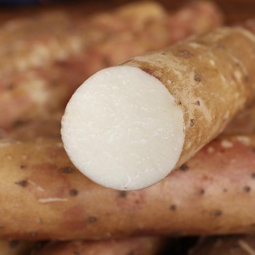 细山药 商品图0