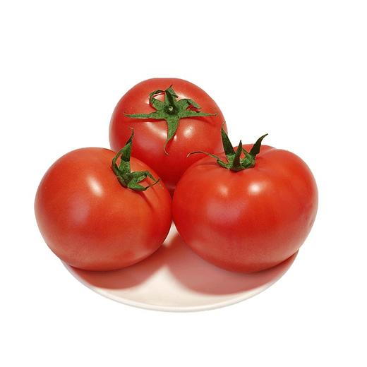 西红柿 商品图2