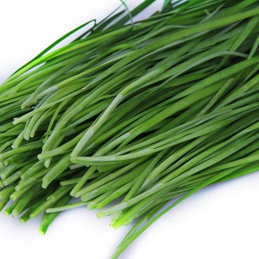 韭菜 商品图0