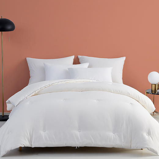 大朴内外大豆纤维牛奶抗菌被 春秋被/冬被 牛奶般丝滑 抗菌又养肤 商品图10