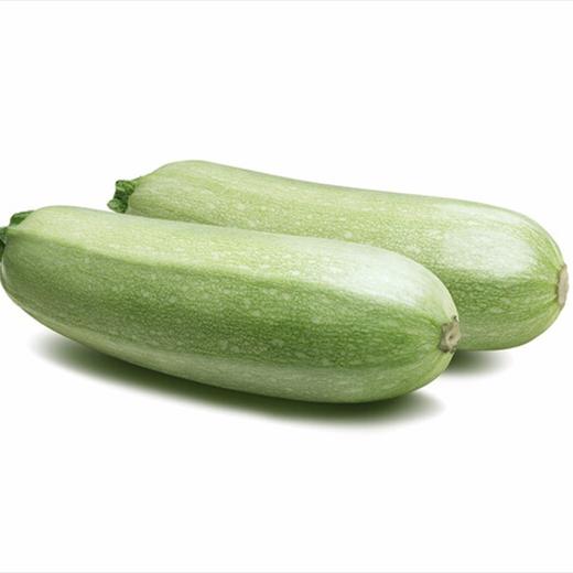 西葫芦 商品图2