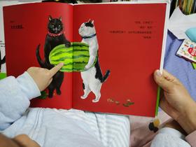 《猫兄弟的幸运日》：这可能是他们能留住小幸运的秘诀