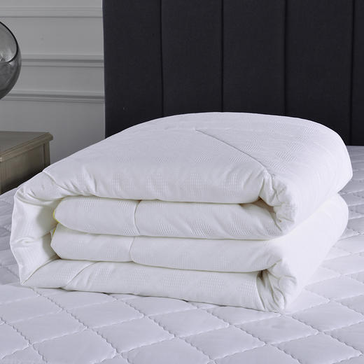 多喜爱 伯爵五星超柔四季被 -FXcs 商品图4