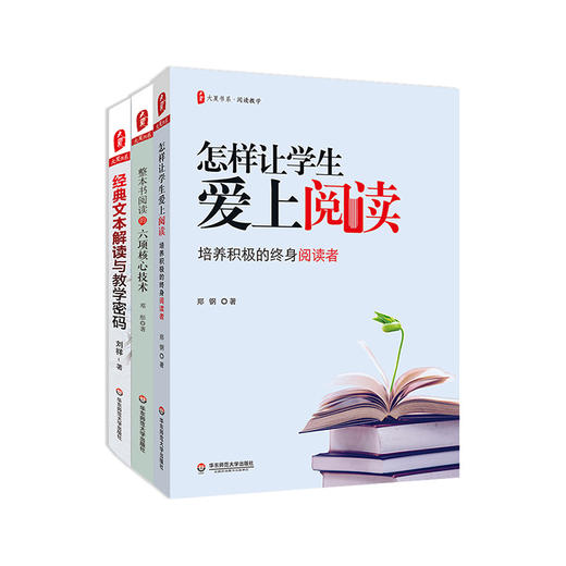 大夏书系·阅读教育套装3册 经典文本解读与教学密码+整本书阅读的六项核心技术+怎样让学生爱上阅读 商品图1