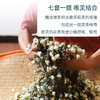 鸣龙优乐系列——茉莉绿茶 商品缩略图5