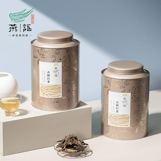 燕语茶山直供白茶（两罐）300g 商品图1