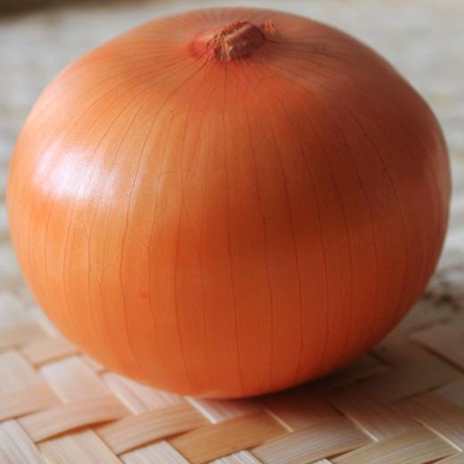 白葱头 商品图4