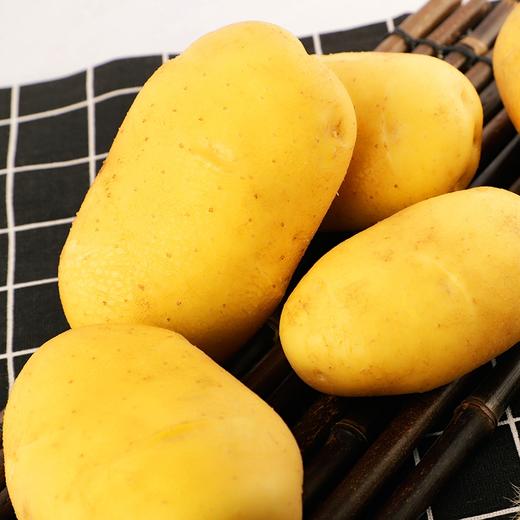 新土豆 商品图1