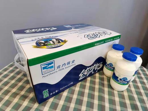 北方乳业塑瓶装纯牛奶  1箱24瓶 商品图1