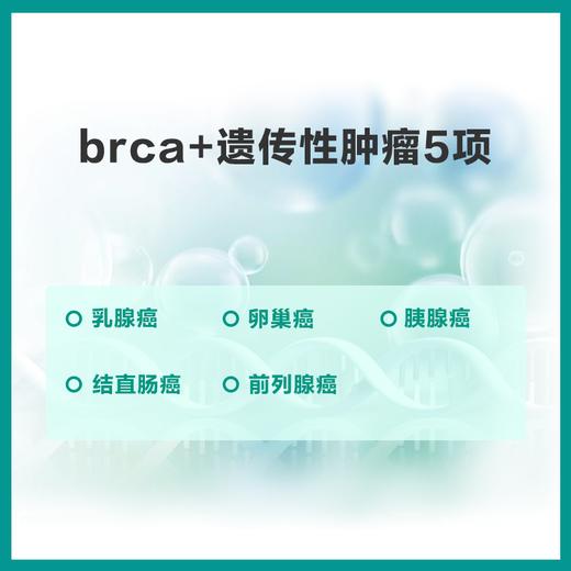 【居家唾液采样】南方基因-遗传性肿瘤四项(BRCA+)(男/女) 商品图0
