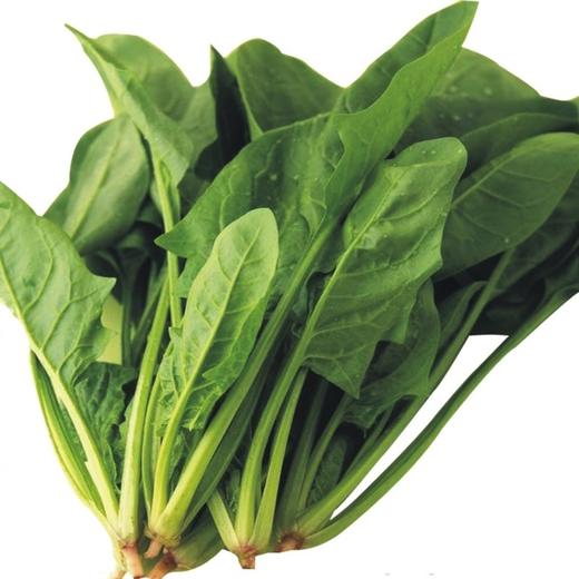 菠菜 商品图0