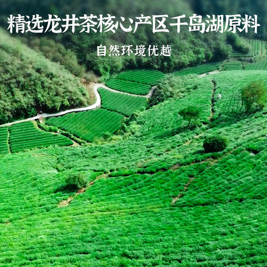 2026新茶·龙冠龙井【清香典范】便携罐 20g 商品图1