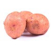 红土豆 商品缩略图5