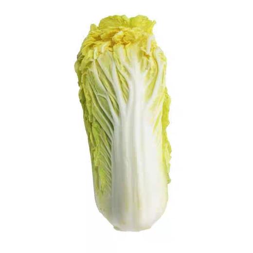 娃娃菜 商品图0