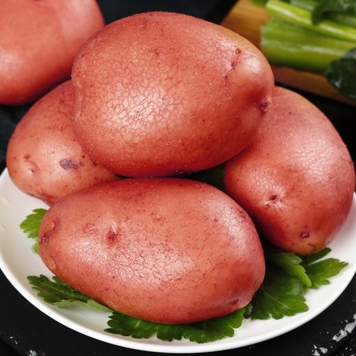 红土豆 商品图3