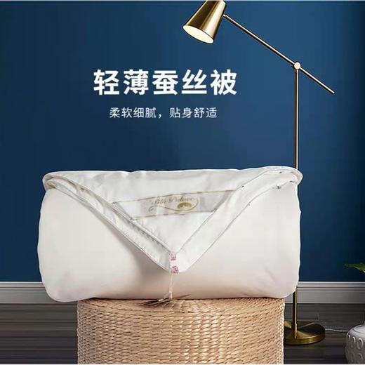 【蚕长丝填充】嘉莉娅夏季轻薄蚕丝被 甄选上茧 丝长可达1500米 柔软亲肤 亲肤透气 商品图4