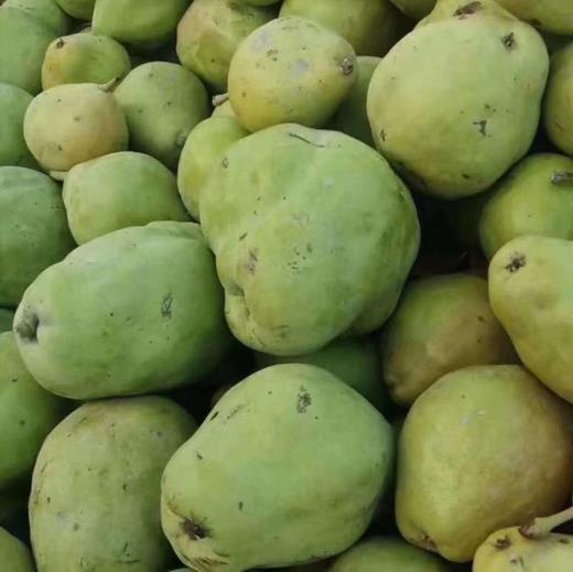 新疆喀什土梨膏130g*2瓶 商品图3