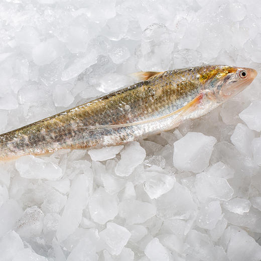 至鲜海刀鱼 250g/3条 液氮速冻  鲜中之鲜  软嫩细腻  “明前刀”骨软如绵哦~ 商品图5