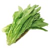 油麦菜 商品缩略图2