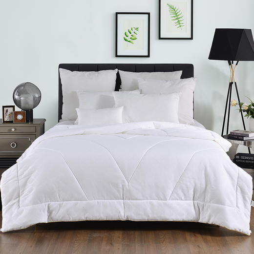 多喜爱 伯爵五星超柔四季被 cs 商品图0