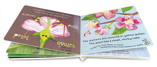 你好科学小世界 苹果是怎样生长的 英文原版 Hello World How Do Apples Grow 幼儿英语启蒙早教益智认知图画书 科普绘本纸板书 商品图2