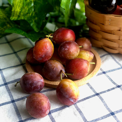 智利西梅 350g Chile Prunus 商品图0