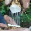 【有机认证】大山里有机鲜山药野生品种 生态种植 5斤装（逢一、三、五现挖新鲜发货） 商品缩略图0