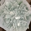 【收获】银叶菊  若干枝/扎 商品缩略图5