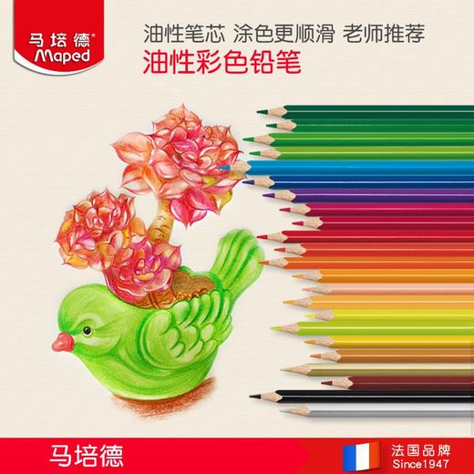 法国Maped马培德36色彩色铅笔儿童成人绘画美术用品专业画画入门用彩色笔芯 商品图1