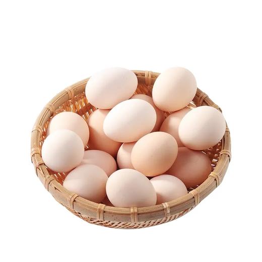 鸡蛋 商品图3