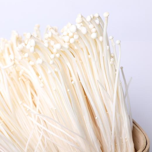 大袋金针菇 商品图1