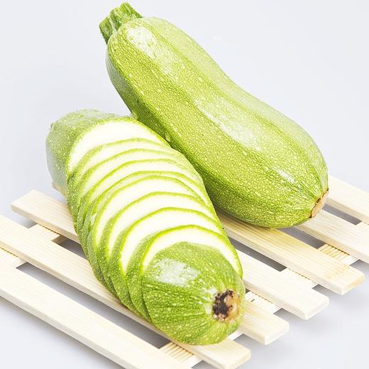 西葫芦 商品图0