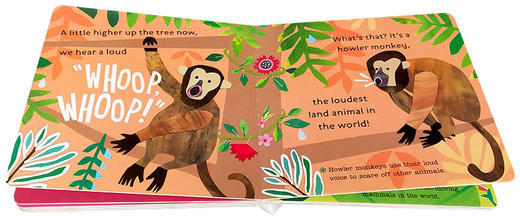 你好科学小世界 雨林动物 英文原版 Hello World Rainforest Animals 幼儿英语科普百科绘本 STEM启蒙图画书 英文版早教认知纸板书 商品图2