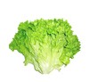 生菜 商品缩略图0