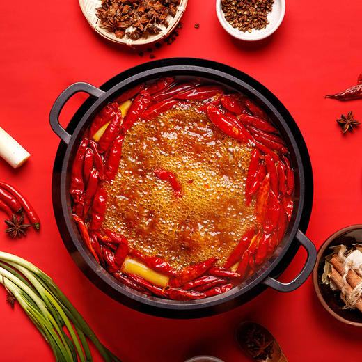 枸杞辣椒牛油火锅底料【500g*1袋】 商品图5