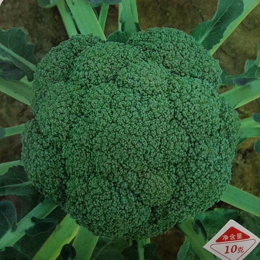 西蓝花 商品图1