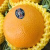 新奇士3107甜橙 很好吃的橙子。 商品缩略图5