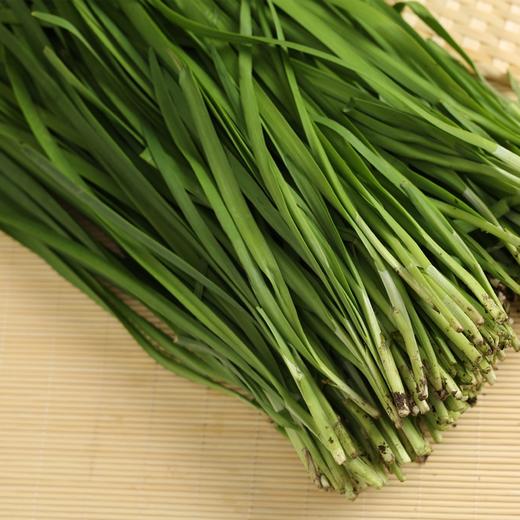 韭菜 商品图3