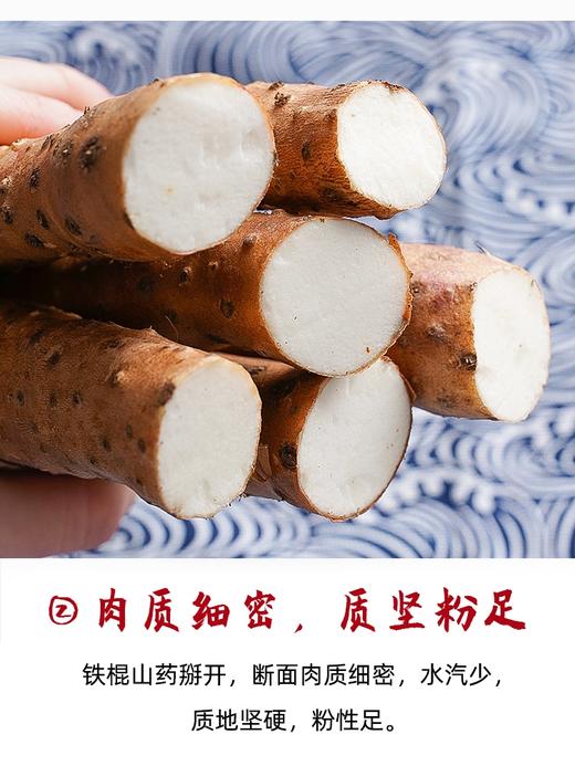 细山药 商品图1