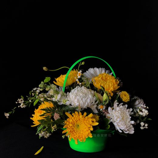 清明节哀思祭奠手提菊花花篮