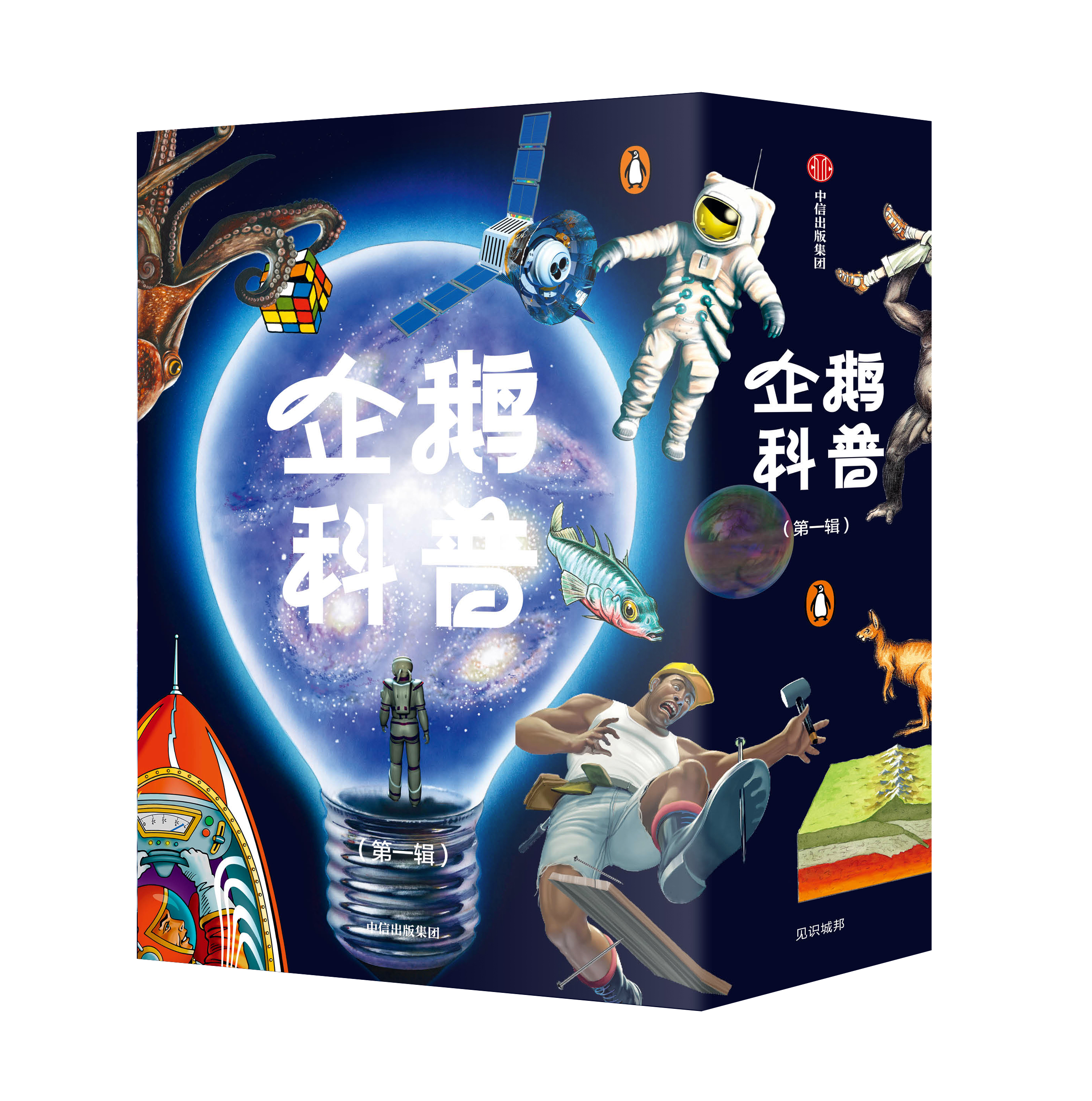 企鹅科普（套装12册）企鹅出版社 英国国民级科普读物 英国国民级科普读物 青少年科学启蒙成年人现代科学入门 口袋书 中信正版