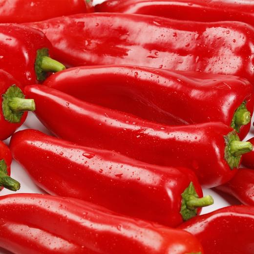 红尖椒 商品图3